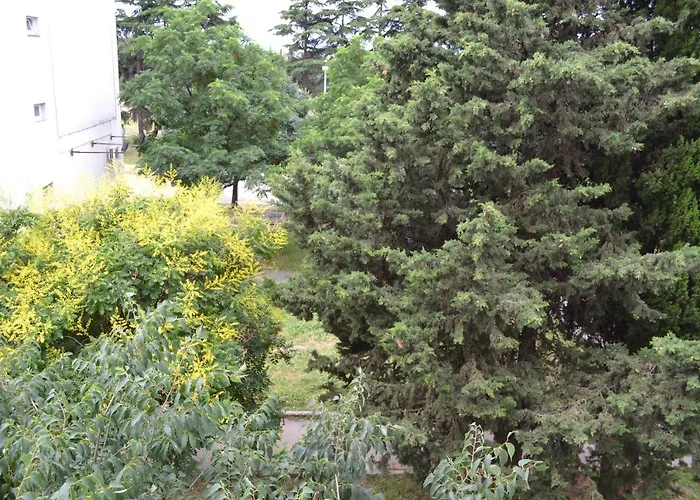 Good Vibes Apartment