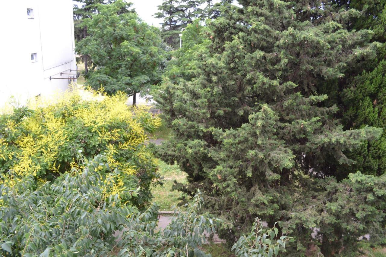 Apartmán Good Vibes Zadar